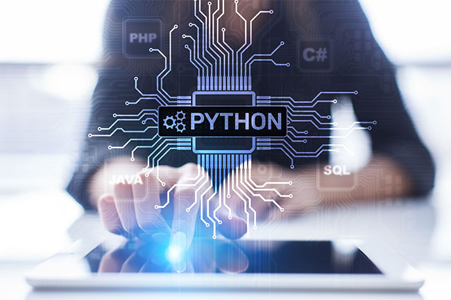 python development company in usa